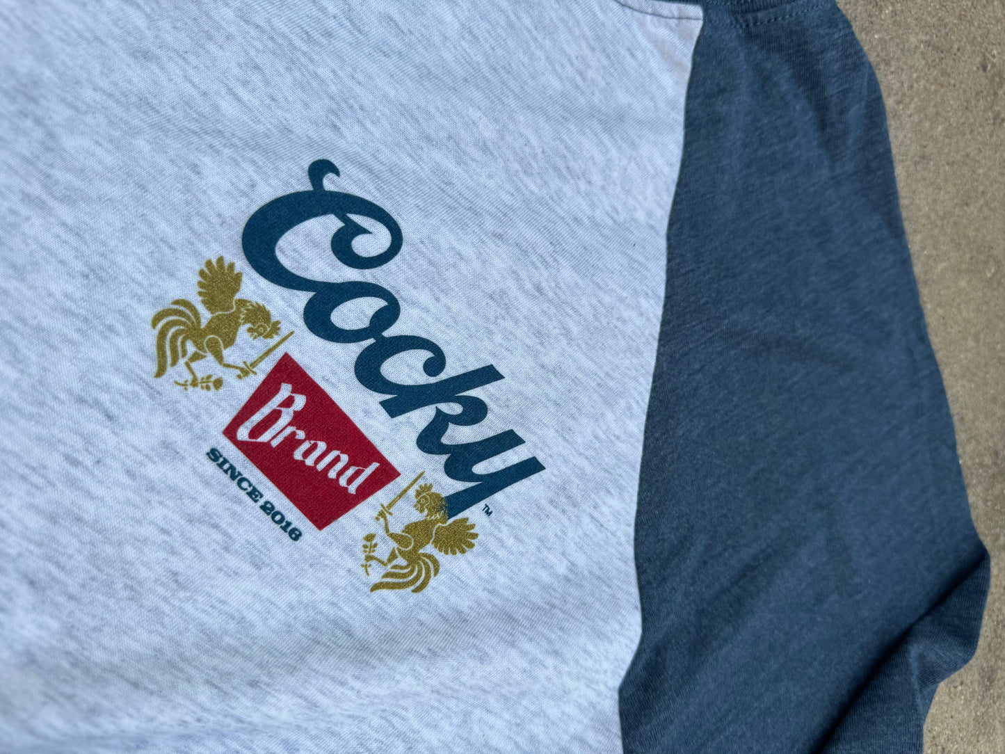 Banquet Baseball Raglan