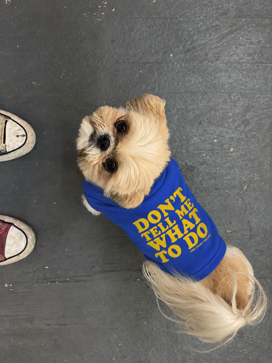 Rule Breaker Dog Tank