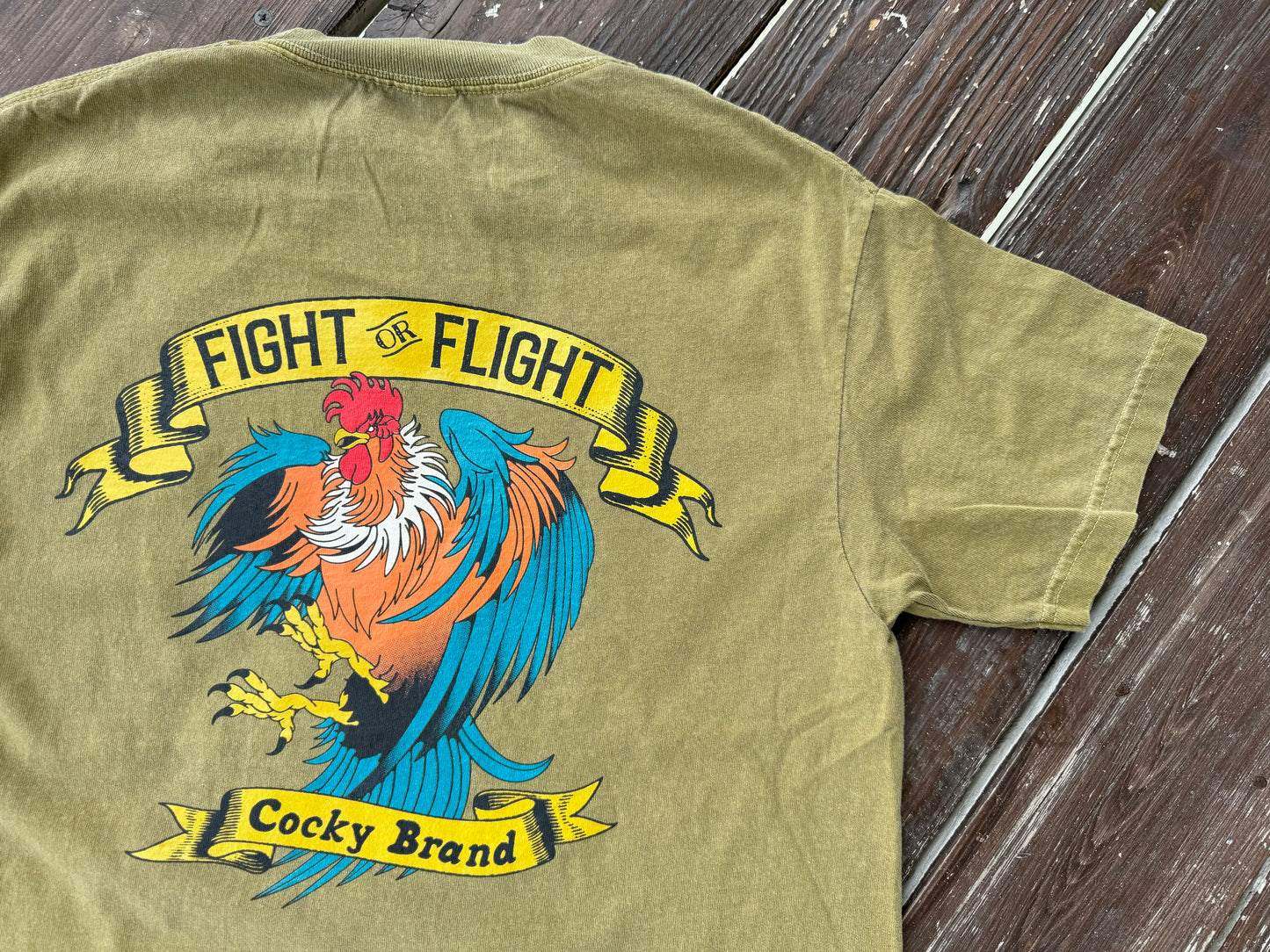 FIGHT or FLIGHT Vintage Tee