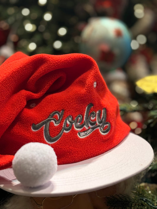 The Santa Snapback