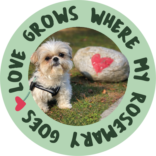 LOVE GROWS 4" STICKER